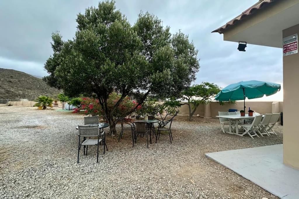 Villa Peaceful Oasis With Magical Sea Views And A Pool à Santa-Cruz de Ténérife Extérieur photo