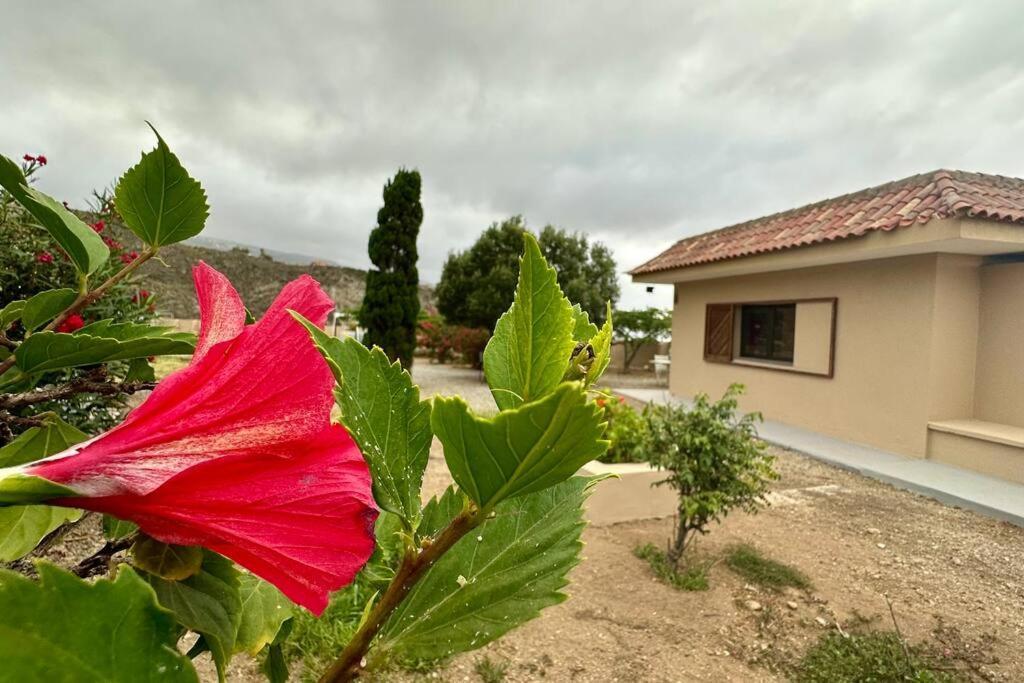 Villa Peaceful Oasis With Magical Sea Views And A Pool à Santa-Cruz de Ténérife Extérieur photo