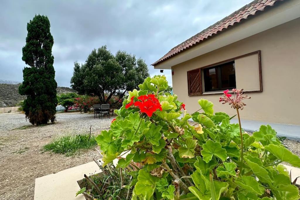 Villa Peaceful Oasis With Magical Sea Views And A Pool à Santa-Cruz de Ténérife Extérieur photo